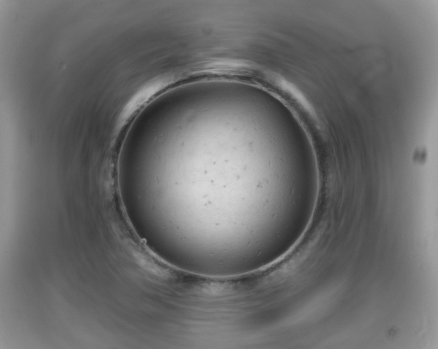 X0000091971362200709131329