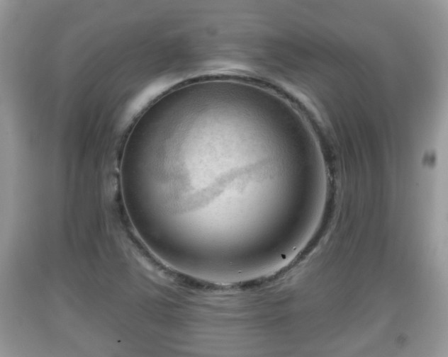 X0000091971363200709131329