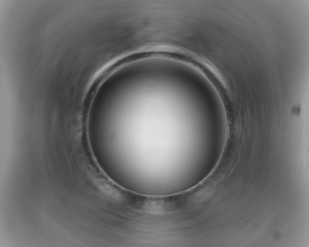 X0000091971364200709131329