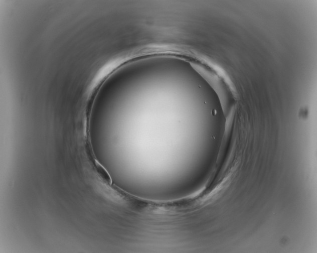 X0000091971365200709131329