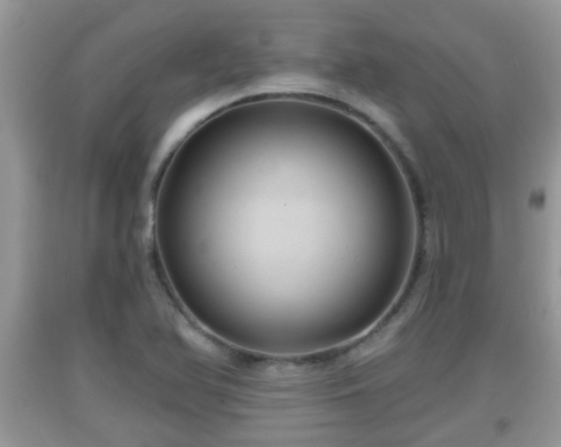 X0000091971366200709131329