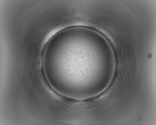 X0000091971367200709131329