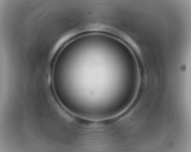 X0000091971368200709131329