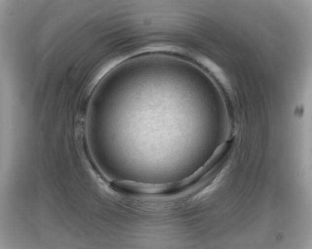 X0000091971369200709131329