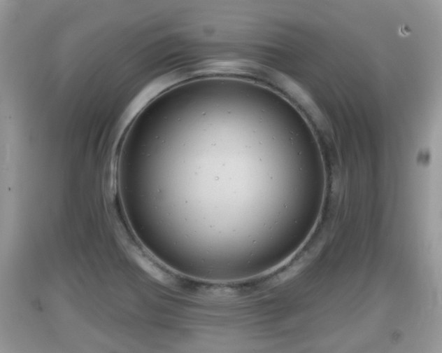 X0000091971370200709131329