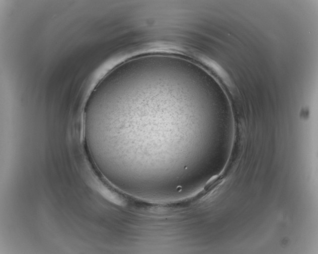 X0000091971371200709131329
