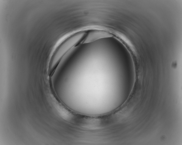 X0000091971372200709131329