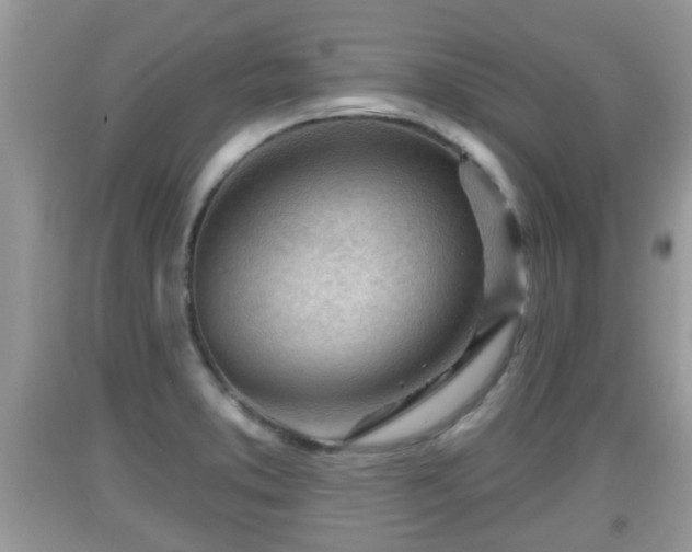 X0000091971373200709131329