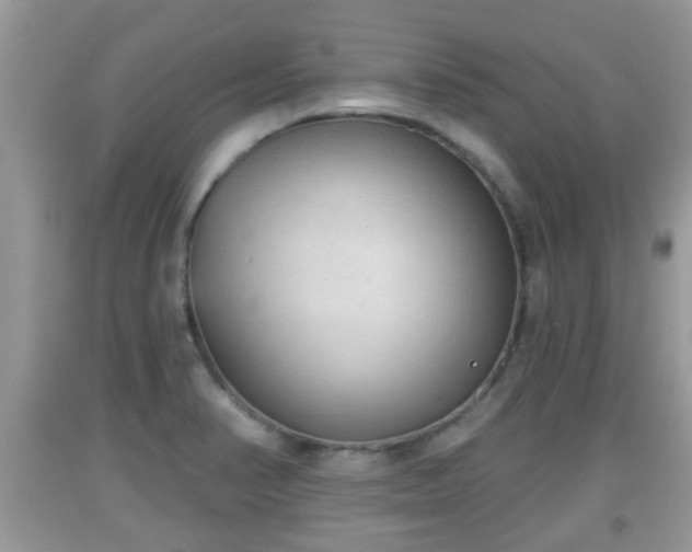 X0000091971374200709131329