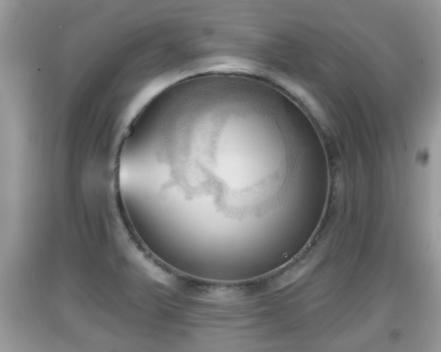 X0000091971375200709131329