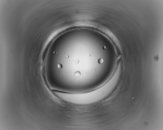 X0000091971376200709131329
