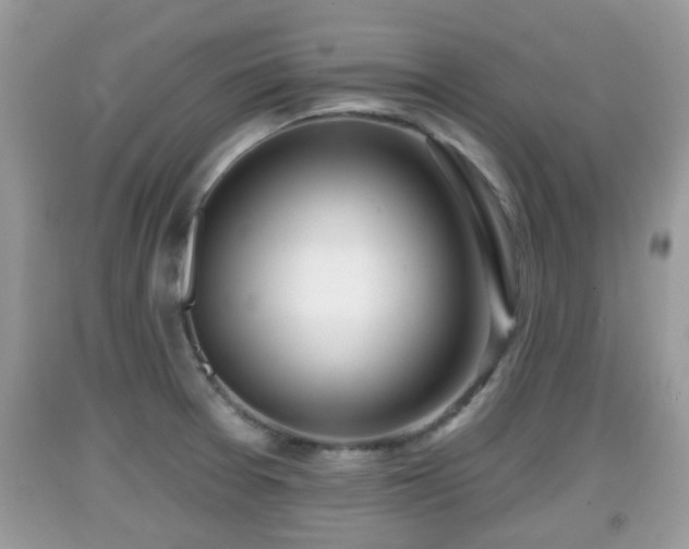 X0000091971377200709131329