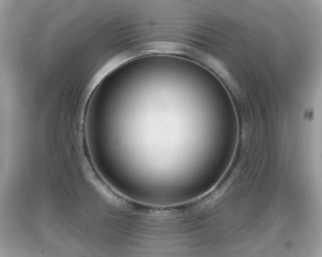 X0000091971378200709131329