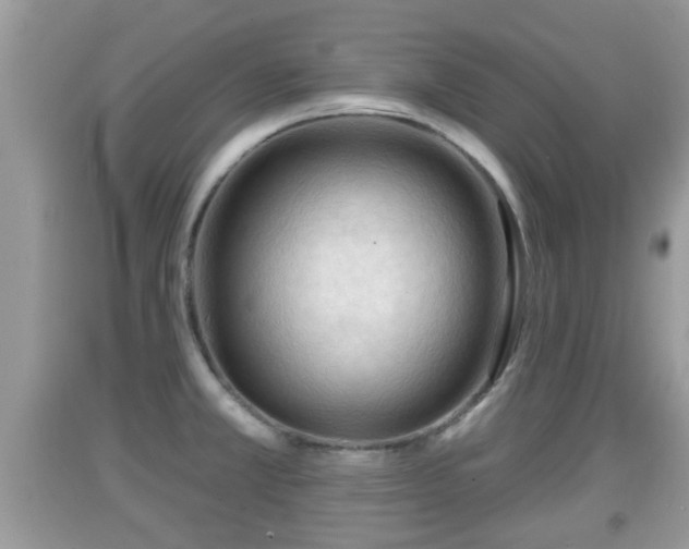 X0000091971381200709131329