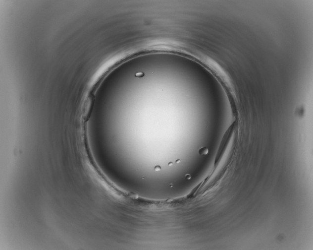 X0000091971384200709131329