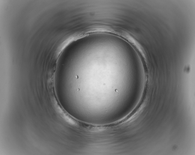 X0000091971385200709131329