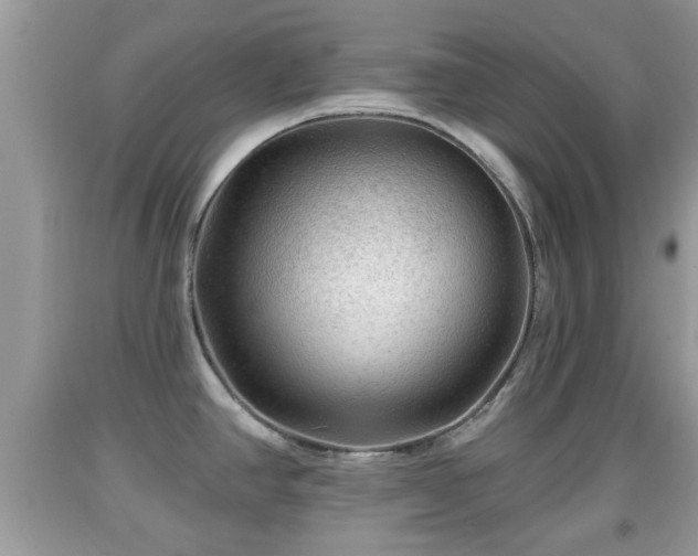 X0000091971390200709131329