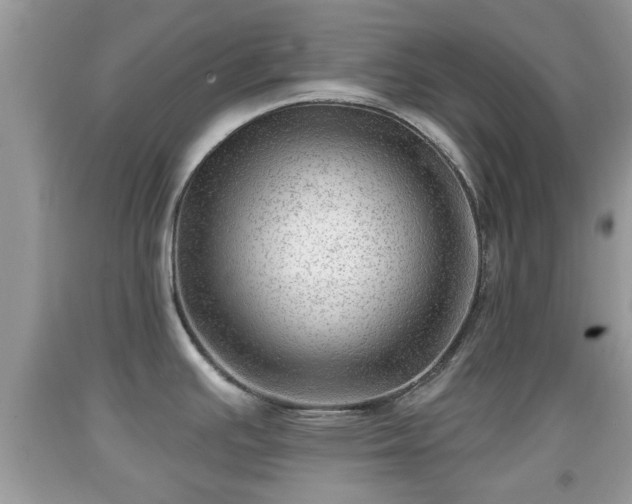 X0000091971391200709131329