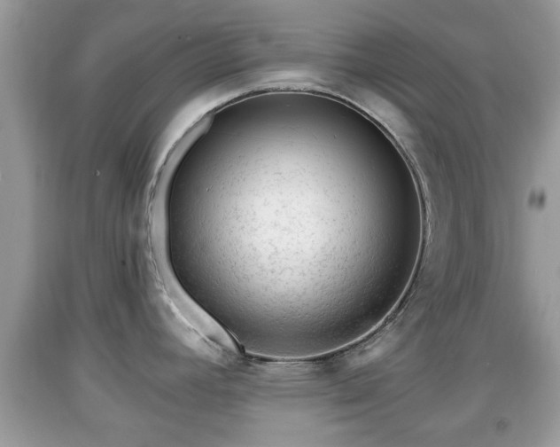 X0000091971392200709131329