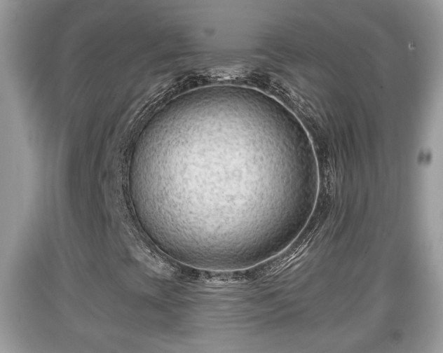 X0000091971393200709131328