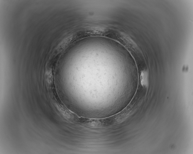 X0000091971395200709131328