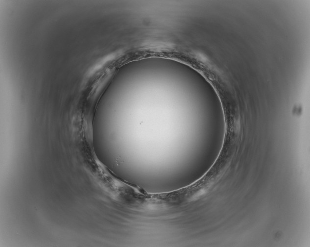 X0000091971398200709131328