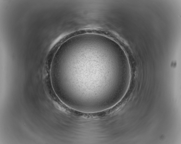 X0000091971400200709131328