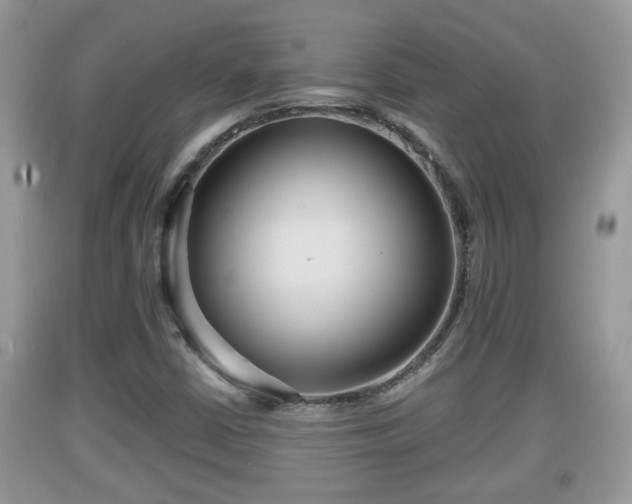 X0000091971402200709131328