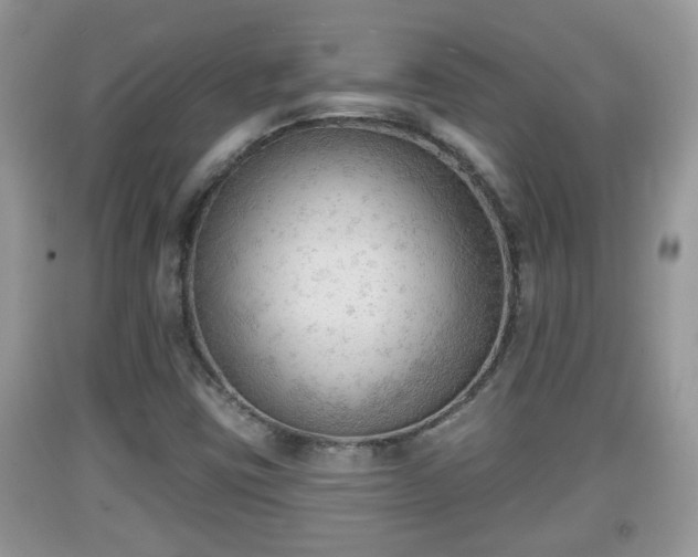 X0000091971403200709131328