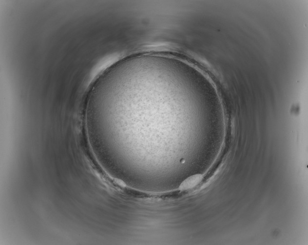 X0000091971405200709131328