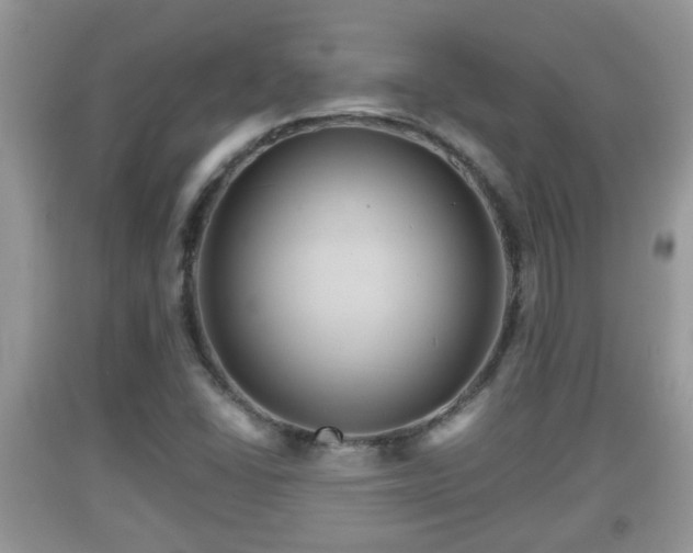 X0000091971406200709131328