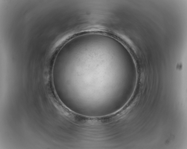X0000091971407200709131328