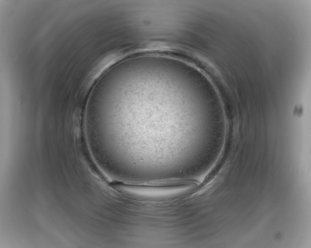 X0000091971409200709131328