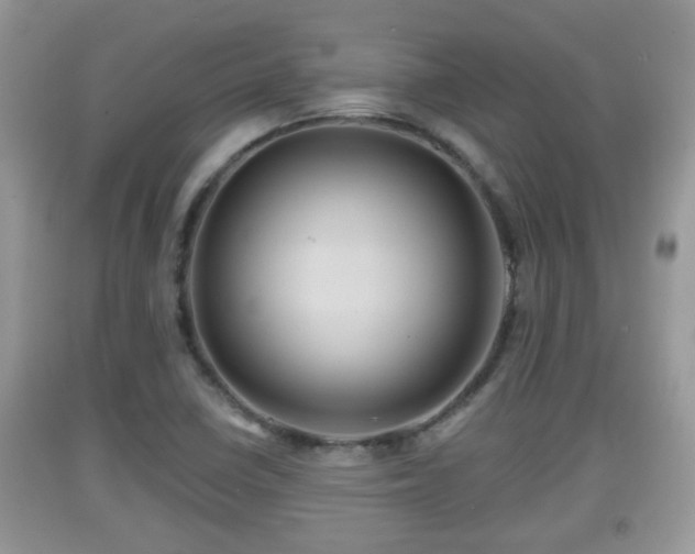 X0000091971410200709131328