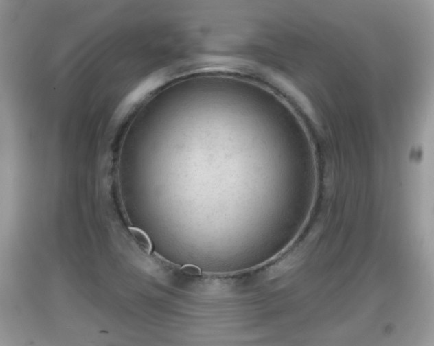 X0000091971411200709131328
