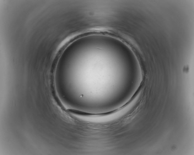 X0000091971412200709131328