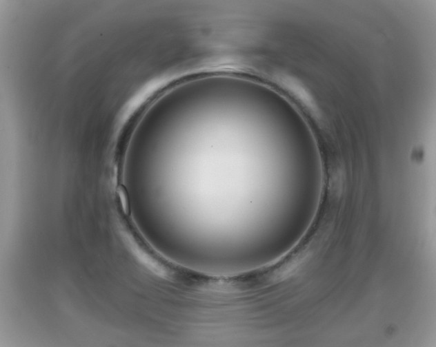 X0000091971414200709131328