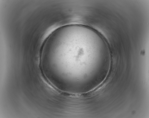 X0000091971415200709131328