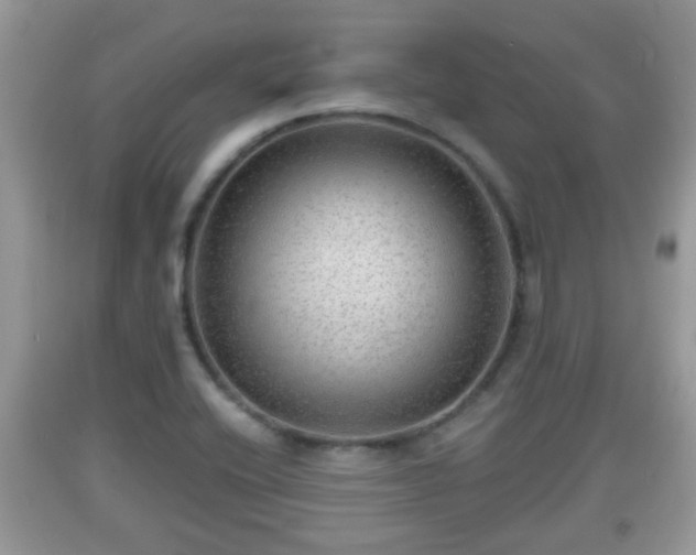 X0000091971416200709131328