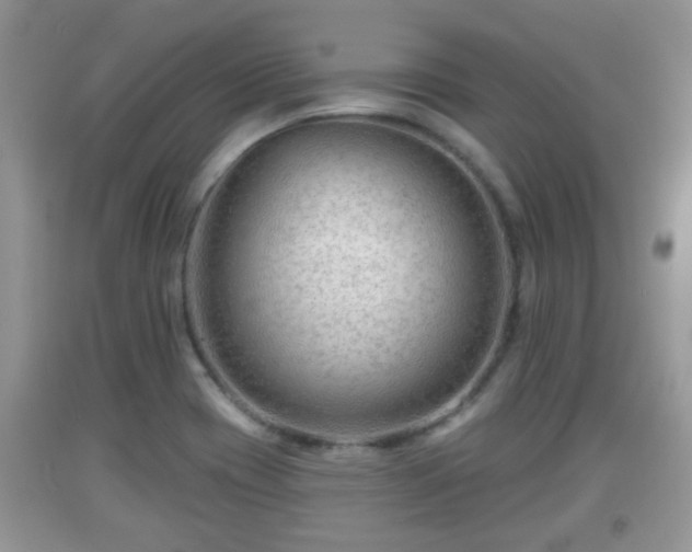 X0000091971417200709131328