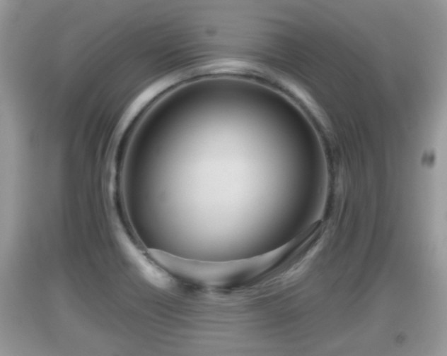 X0000091971418200709131328