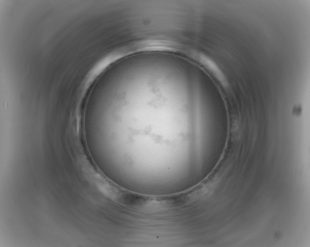 X0000091971419200709131328