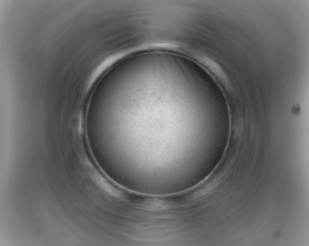 X0000091971420200709131328