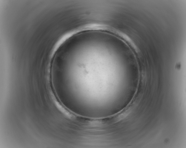 X0000091971421200709131328