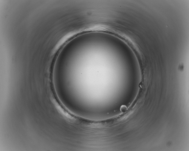 X0000091971422200709131329