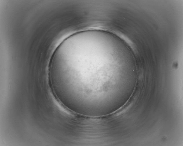 X0000091971423200709131329