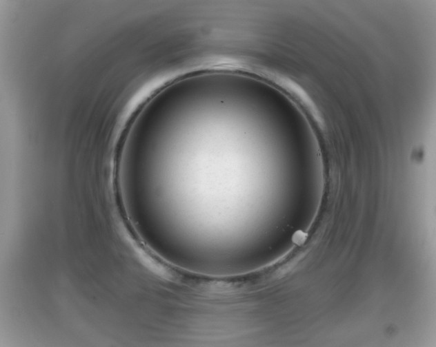 X0000091971424200709131329