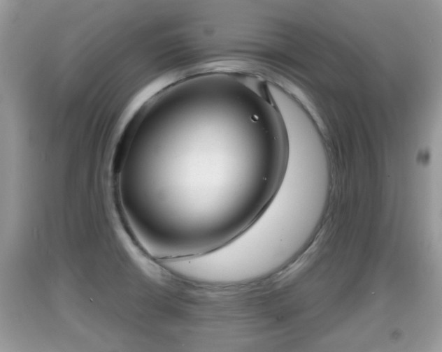 X0000091971426200709131329