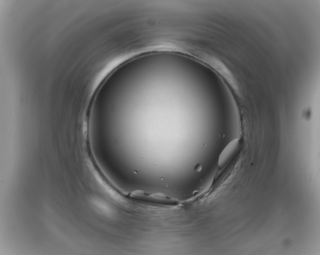 X0000091971428200709131329