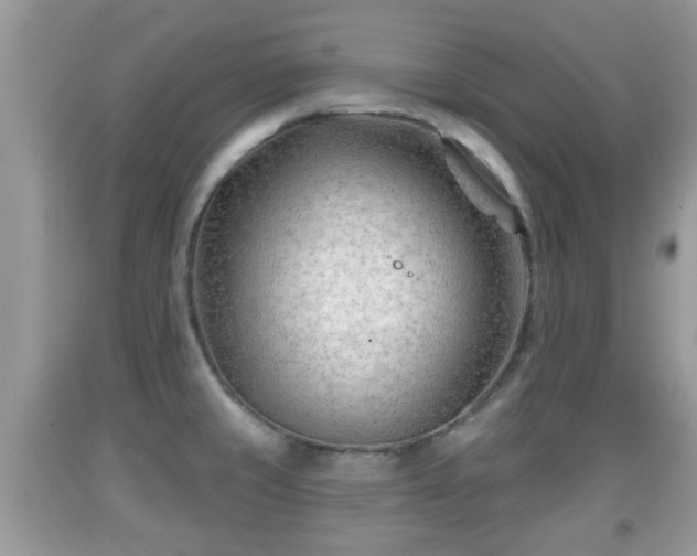 X0000091971429200709131329